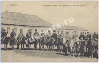 Типы Амура