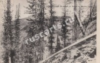 17889