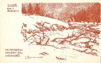Чехи в Сибири