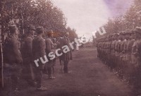 Берикульская. Полковник Крейчи