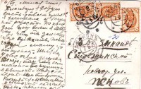 Псков. Новгородская улица. Стрешинской Зинаиде
