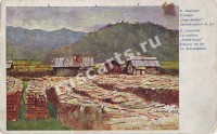 Станция Карымская
