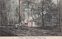 Чемальский бор. Главная аллея