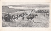 Кавалерия