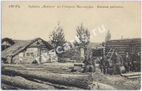Типы Амура