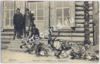 Типы Амура
