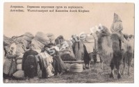Астрахань. Перевозка Киргизами груза на верблюдах