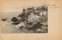 Nervi (Нерви)