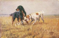 Собаки
